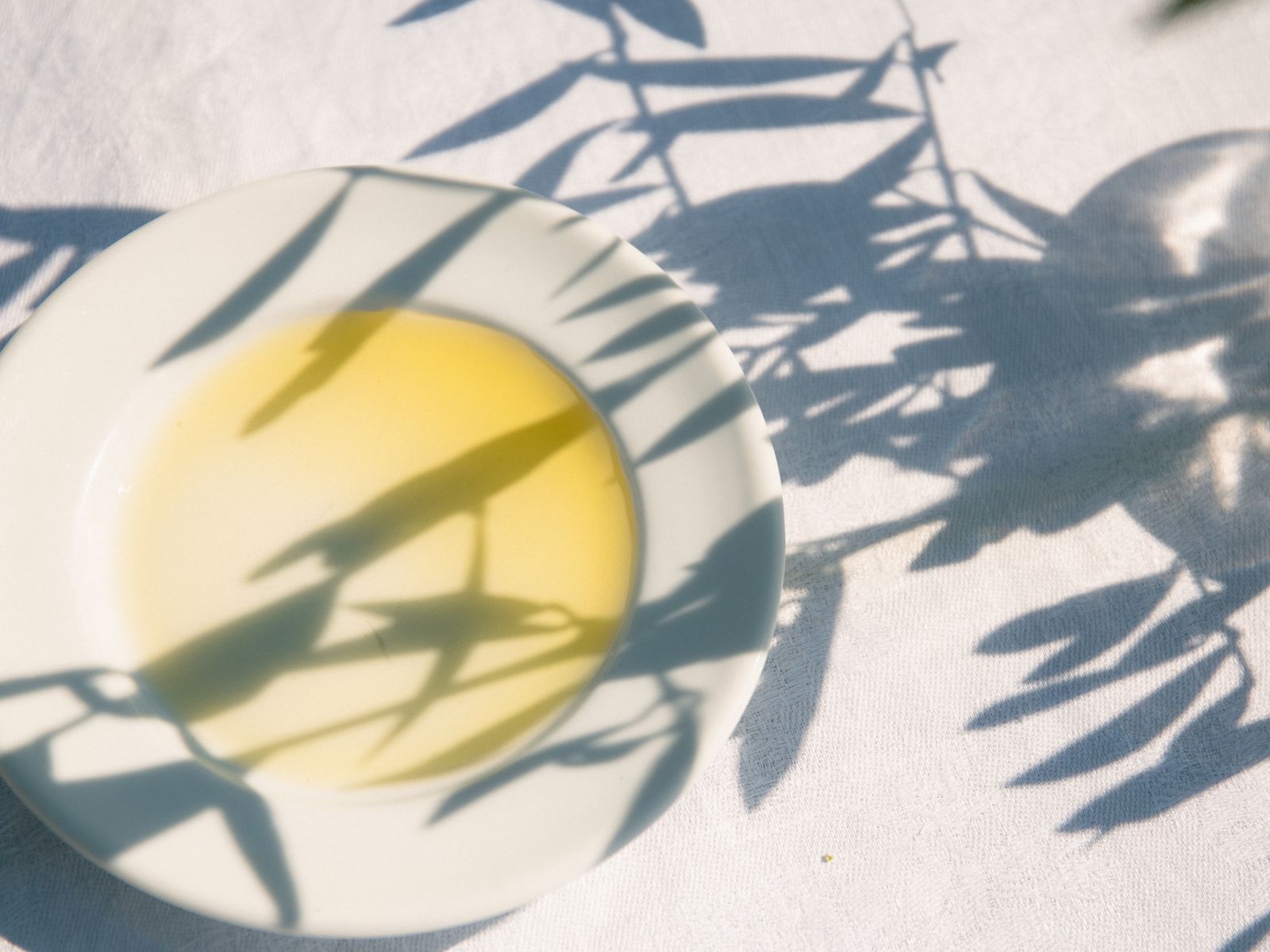 Huile d'olive versée dans une assiette blanche, ombres de feuilles d'olivier